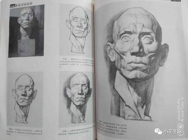 学画四年级上册美术,从零开始学绘画必备的画