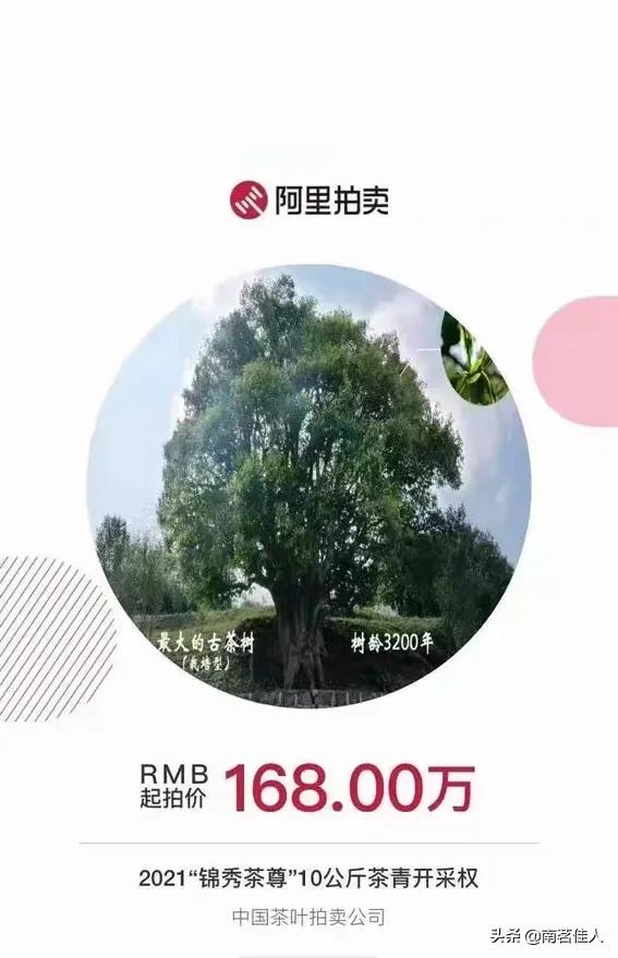 “锦绣茶尊”拍出1068万元天价，这喝的还是茶吗？