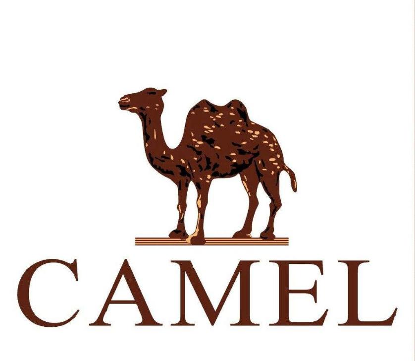 盘点那些披着羊皮的山寨洋品牌,它们都是国产货!