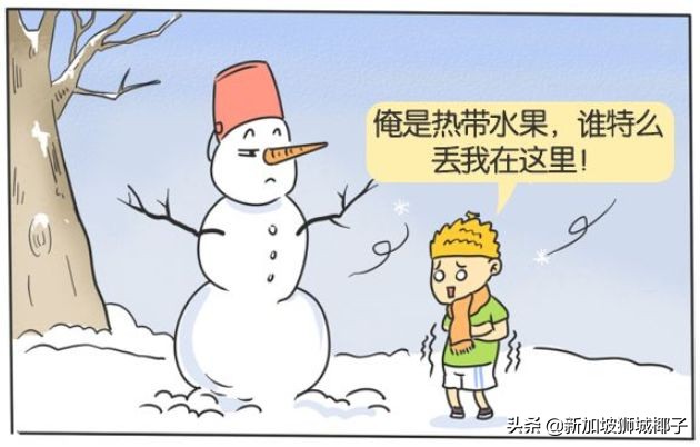 新加坡冻成狗,新加坡狂风暴雨来袭