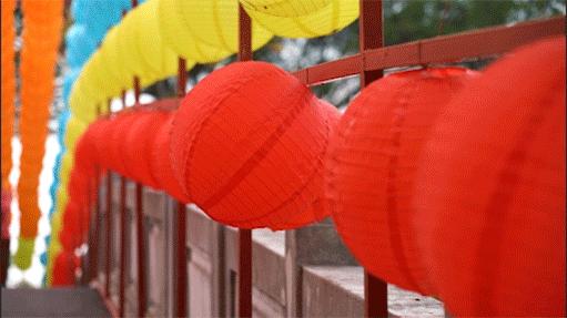 赏花海+机动游戏任玩+VR体验、5D电影等！还有财神爷派利是！