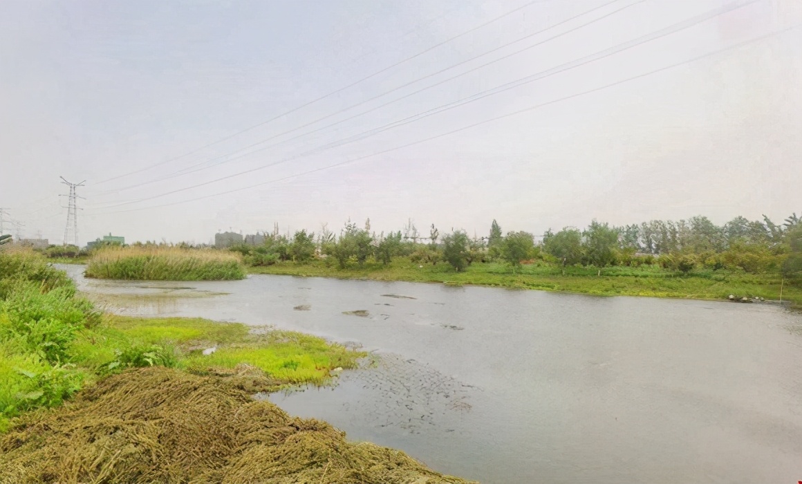 恭喜濉溪御源置业！1.656亿元摘得乾隆湖旁89.06亩宅地