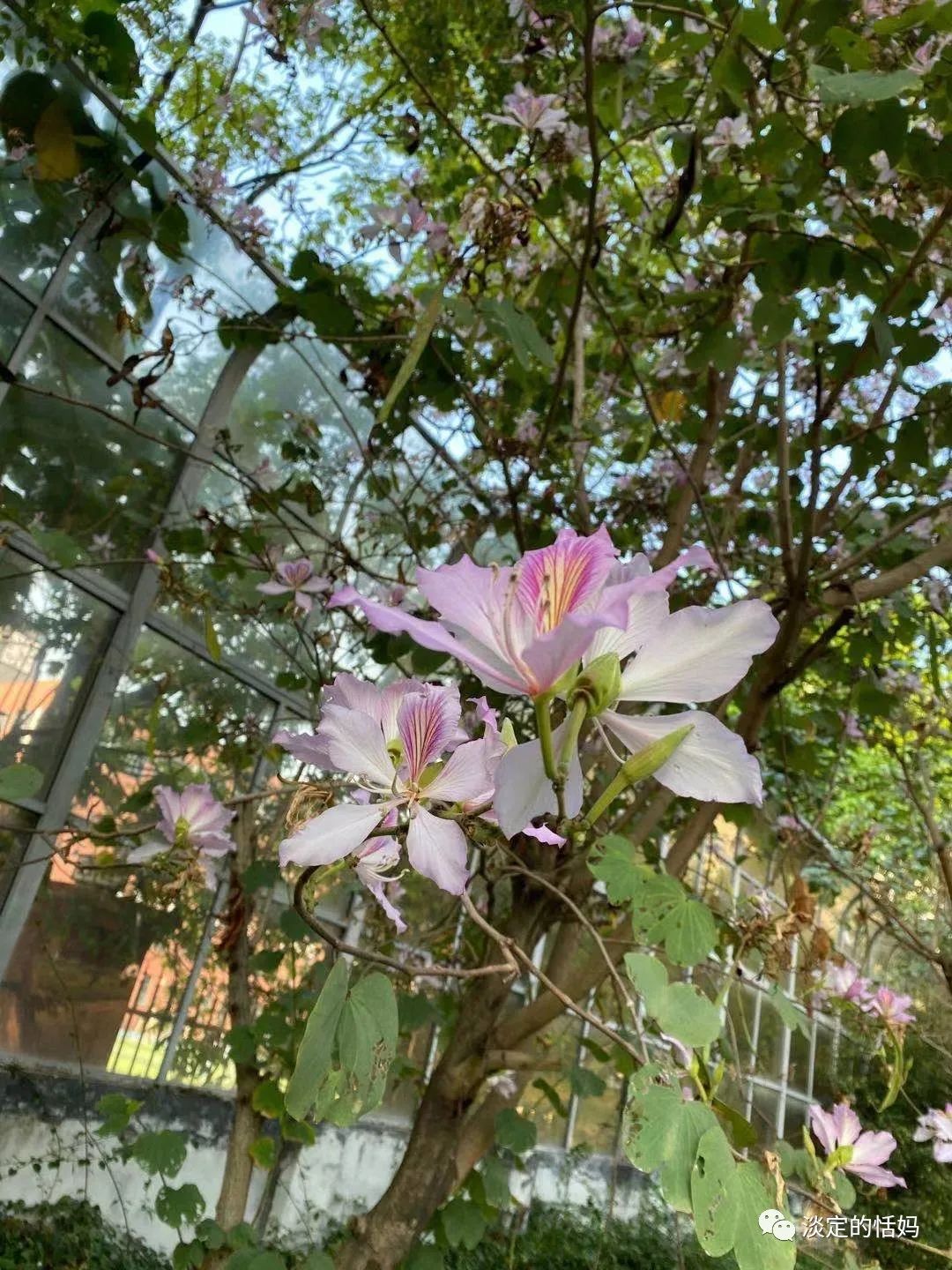 一边修脚一边讲故事,开口学古诗