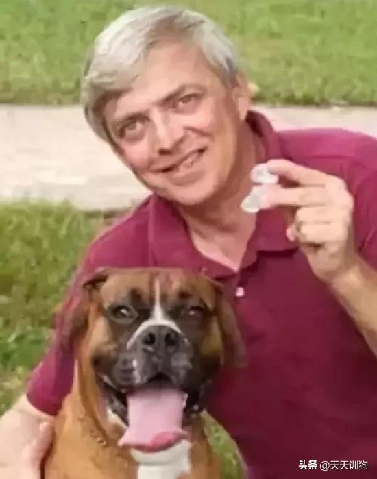 被绝育的狗子,公狗做绝育自闭