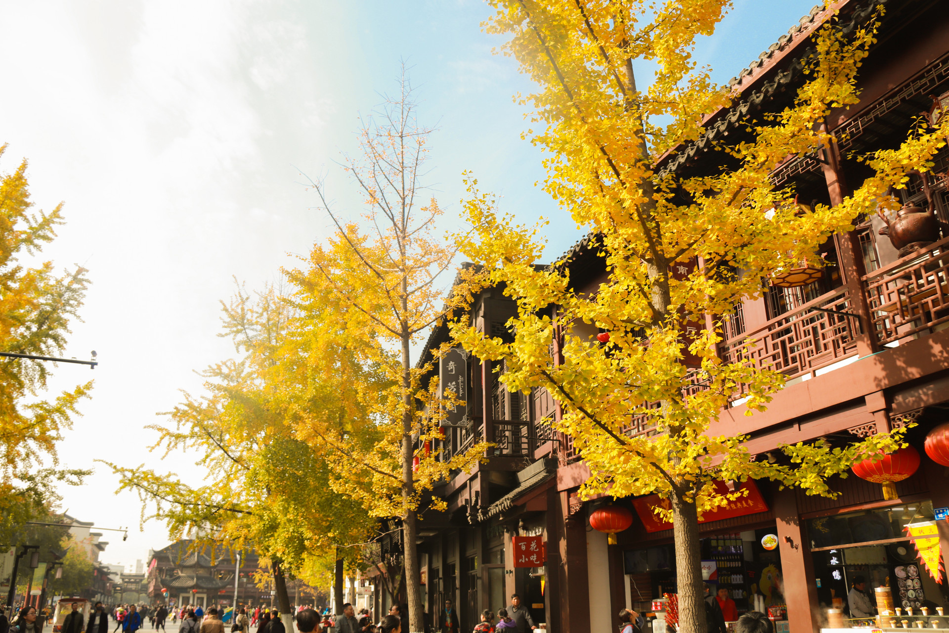 九首禅意诗让你内心安定舒适十足,静美诗全文