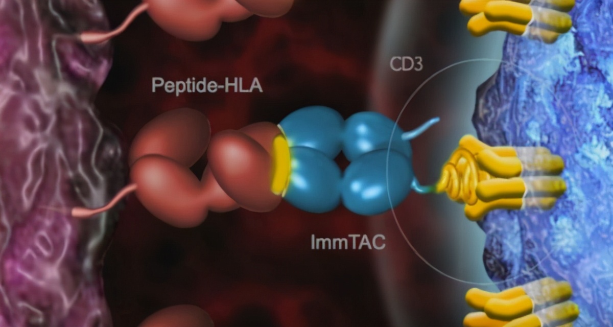 新型TCR疗法tebentafusp治疗葡萄膜黑色素瘤