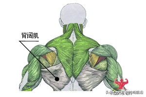 减脂健身计划一周表,减脂健身计划一周表图