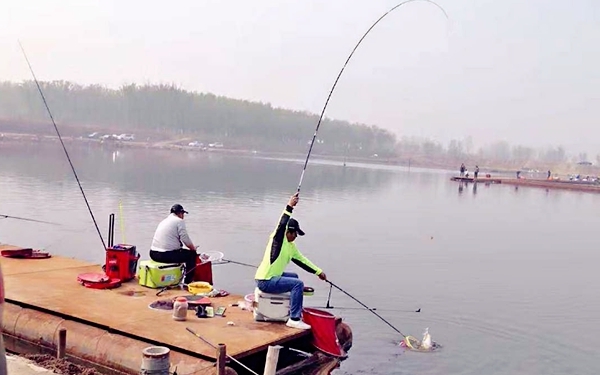 鱼口不好的时候用什么钓组,鱼口好打不上来怎么办