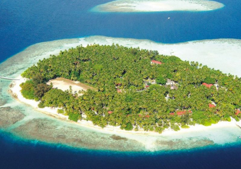 马尔代夫班度士岛旅游,马尔代夫thoddoo岛怎么去