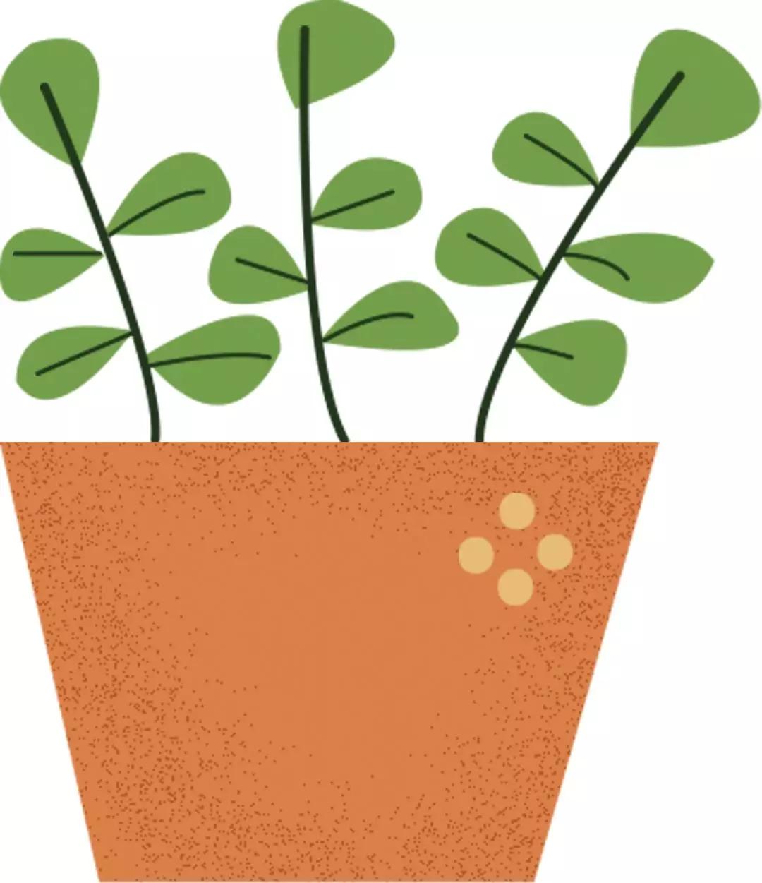 小编整理！丰台四大花市逛买攻略！春节就要这喜庆劲儿