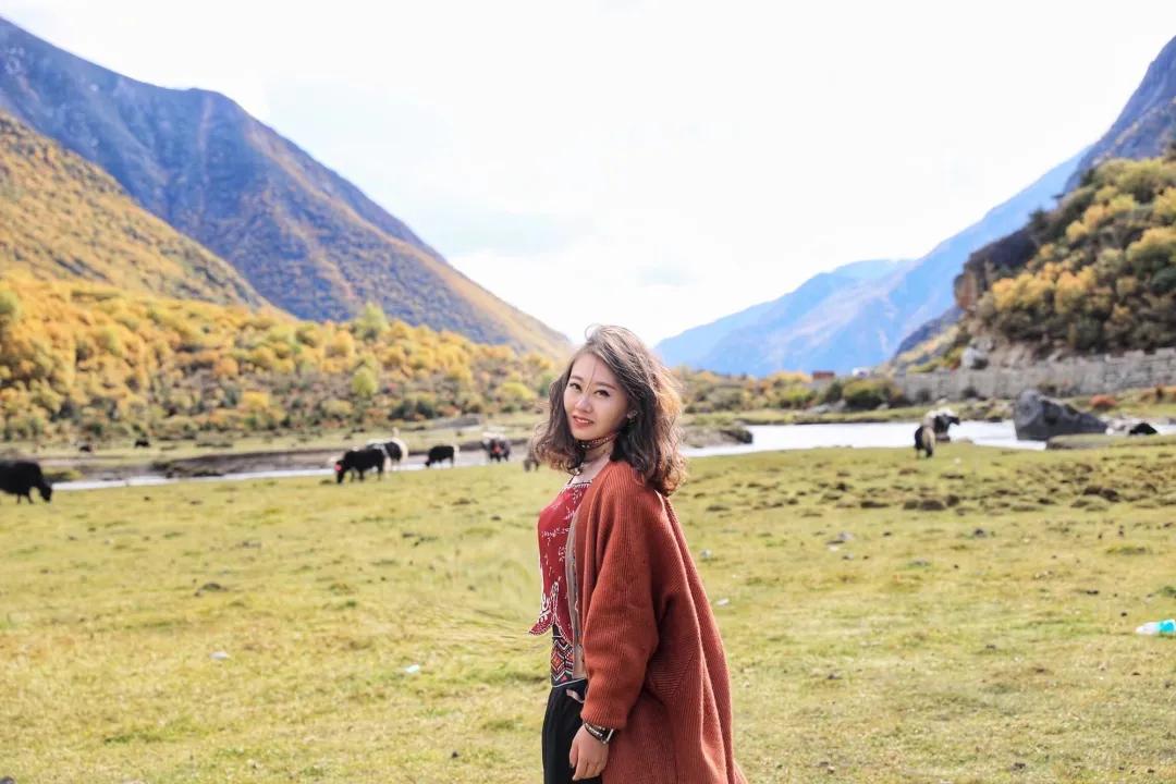 同济mem录取分析,同济mem是否有性价比