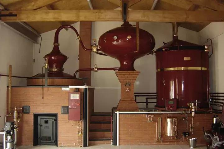 干邑选购,上好的干邑如何