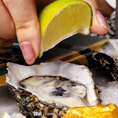 珠海鸡尾酒精酿,allin鸡尾酒