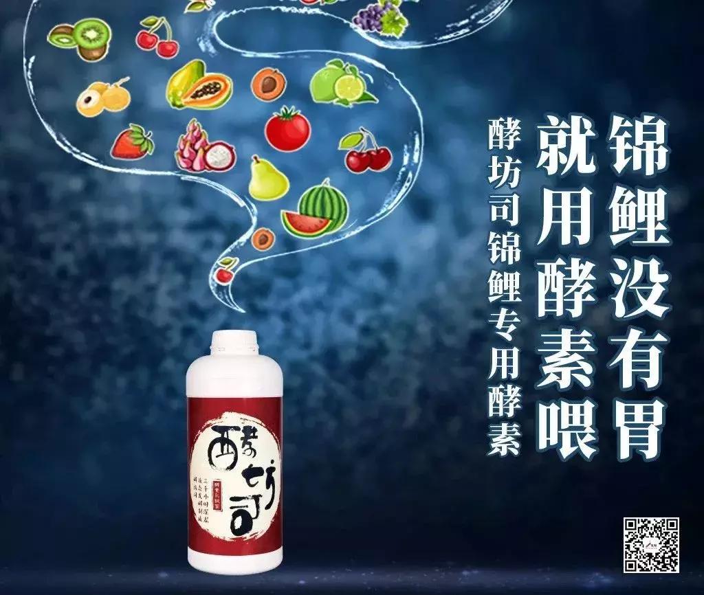 庭院锦鲤鱼池过滤改造,小院锦鲤鱼池建造过程