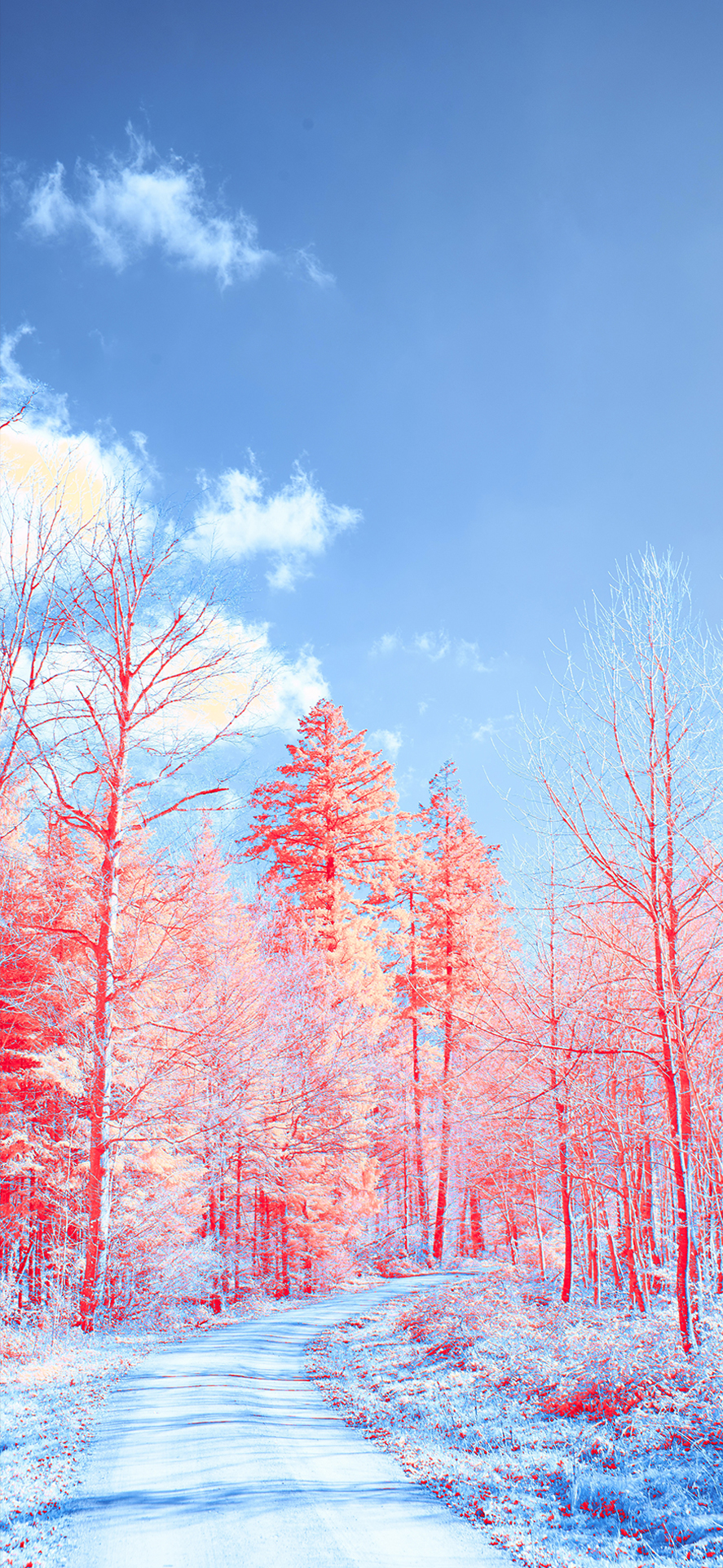 iphone13promax壁纸高清风景,ipad壁纸超清4k全面屏治愈系风景