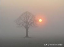 我的心孤舟似的穿过起伏不定的时间的海。——《冰心语录》