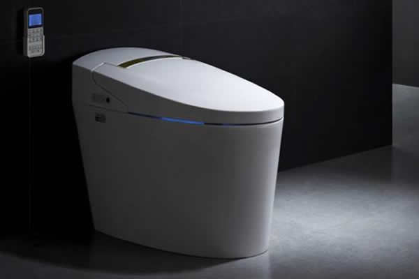 怎样修理冲水马桶关不住水的问题,马桶冲水燃气热水器启动怎么解决