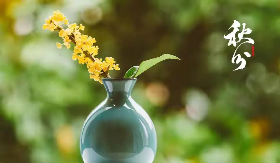 散文秋,散文秋朗诵