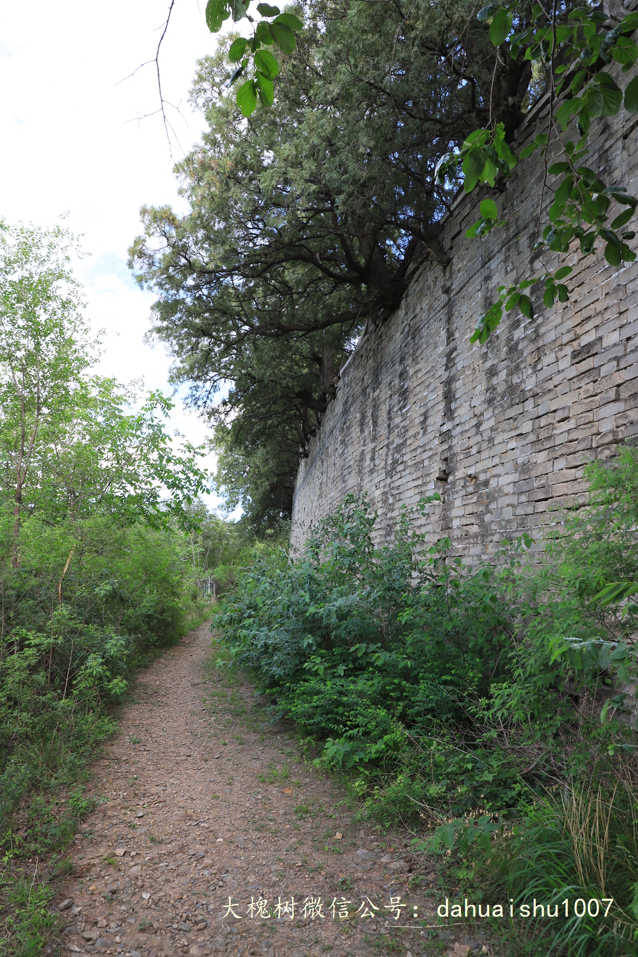 嘉靖陵墓永陵和永乐大典,明朝十三陵之永陵
