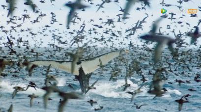 被吹爆的神片,被吹上天的神作