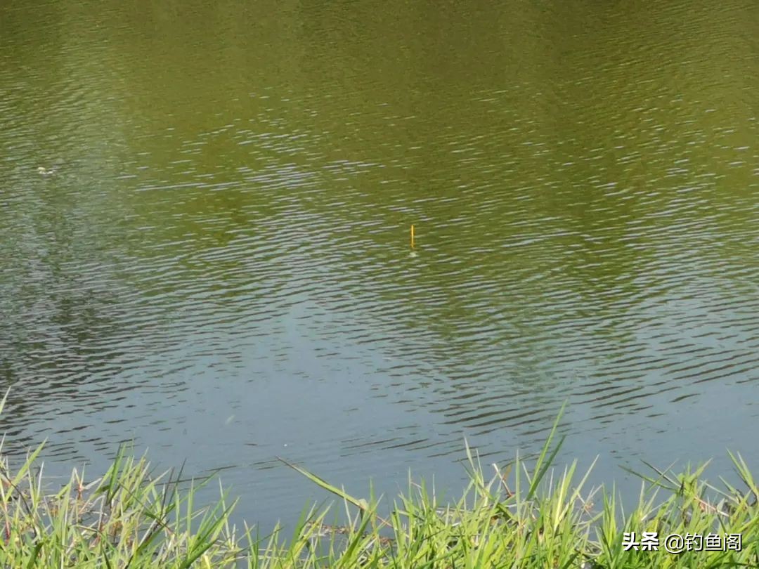 如何正确的选择浮漂,如何选择合适的浮漂
