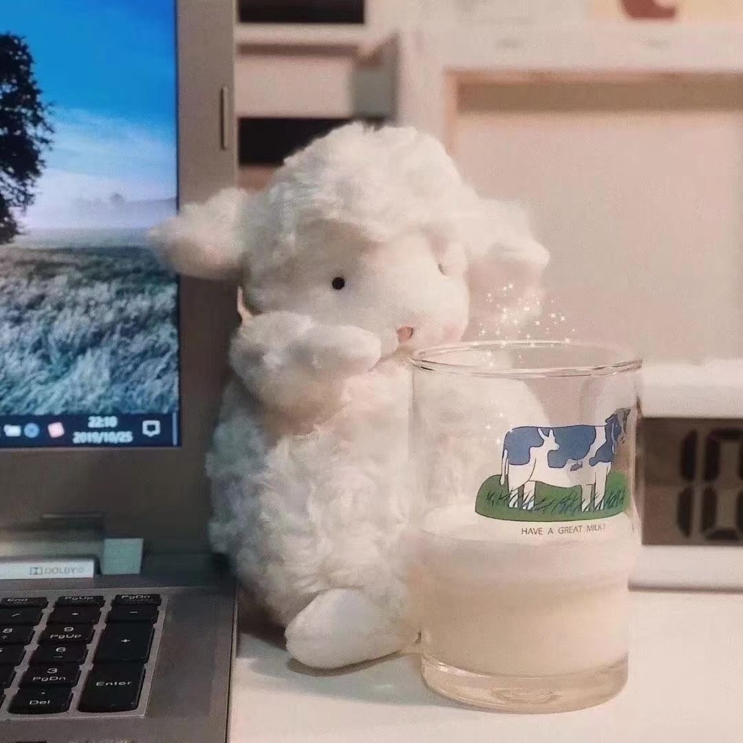 经验分享型主播背景图,今日份背景图分享