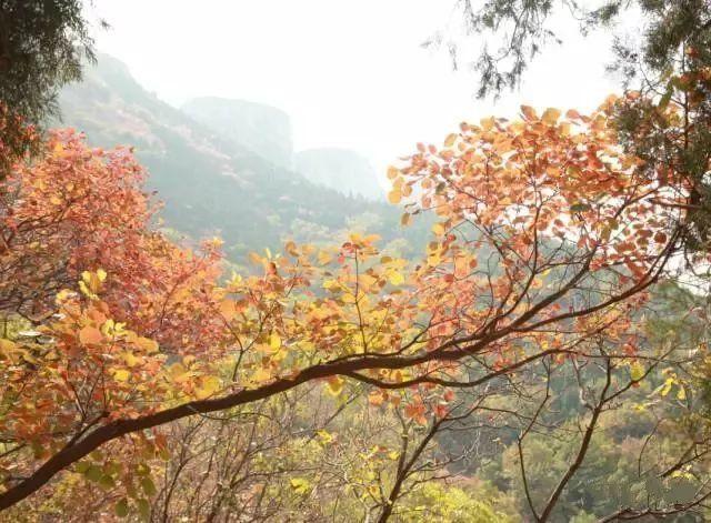 济南旅游景点推荐带孩子玩,济南旅游景点推荐适合带孩子