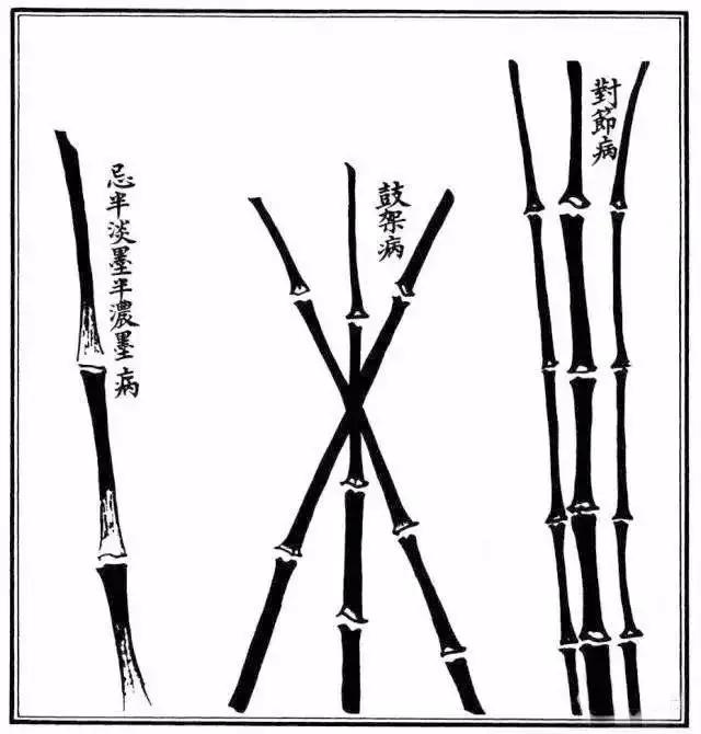 不带叶子的竹子怎么画,不会画画的竹子