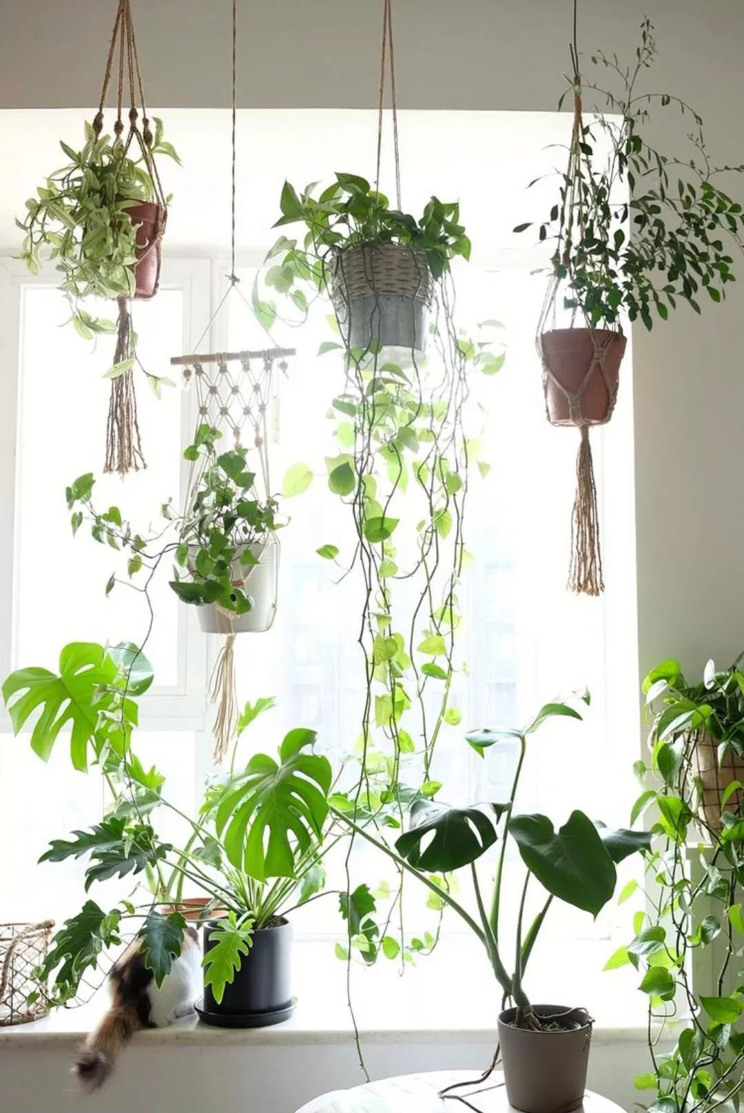 小夫妻98㎡家意外走红!登北京地铁广告,这个家才是都市里的奢侈