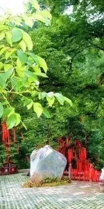 大美中国甘肃康县,央视大美中国甘肃康县