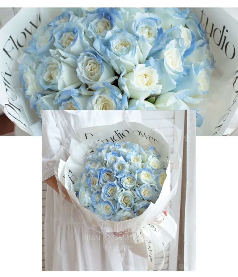 玫瑰花有几种颜色分别有什么含义,玫瑰花都有几种颜色都是什么寓意