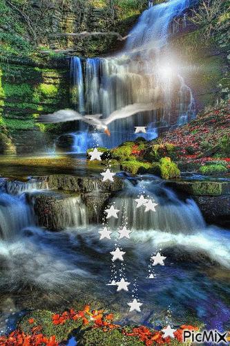 100张会动照片,30张罕见且迷人的图片