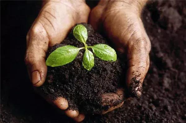 绠椾竴绗旂粡娴庤处,绠椾竴绗旇处