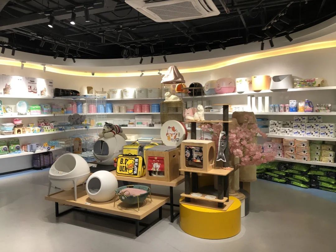 欢迎同行入内,这是一家为宠物店而开的宠物