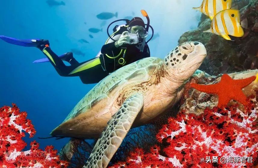 斯里兰卡旅游攻略机票,斯里兰卡当地购物攻略