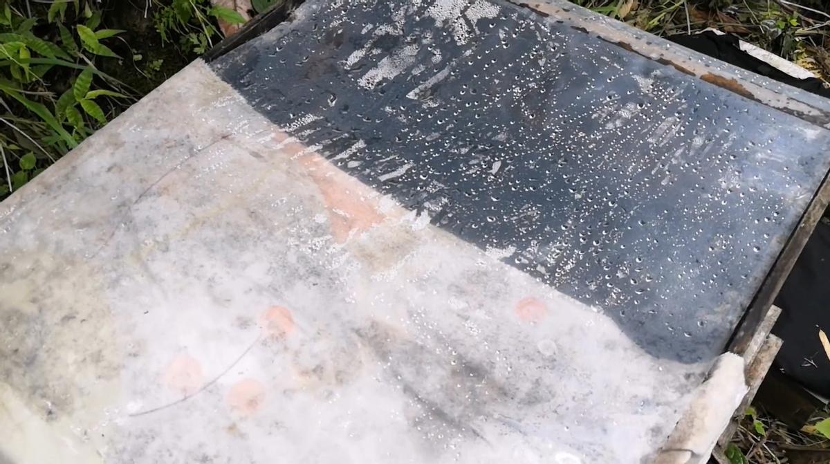 蜜蜂饲养管理实用技术,蜜蜂养殖过程中有哪些注意事项