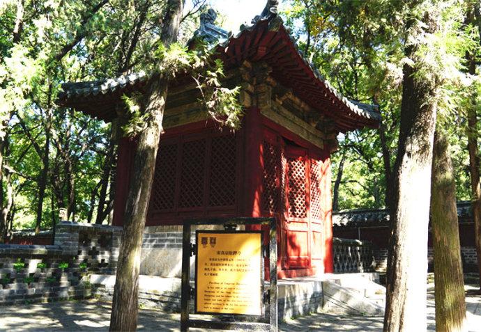 孔林是最大的氏族墓地吗,孔林各个时代的墓葬