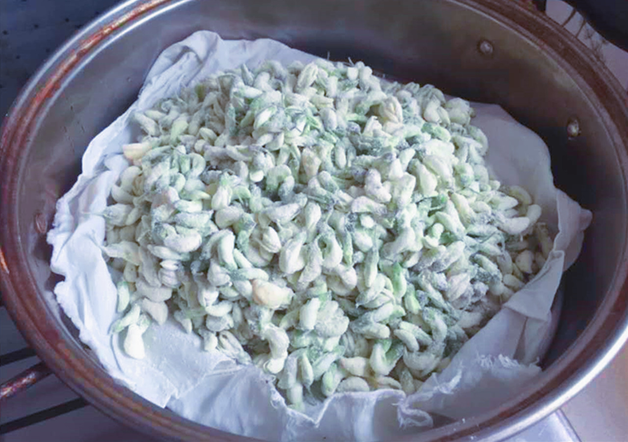 五月槐花香有什么吃法,冷冻洋槐花怎么吃最好吃呢