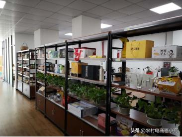 广东金巢电子商务股份公司发展历程和简介