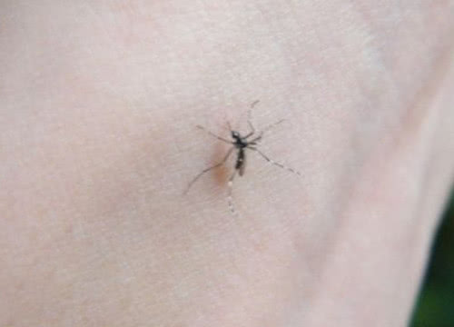 生活小技巧正确的生活方式,生活小技巧太实用了看完受益一生