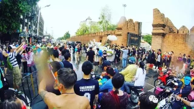 四月物语|桃杏梨大美中国、世界唯一！江浙沪紫藤芝樱绽放！