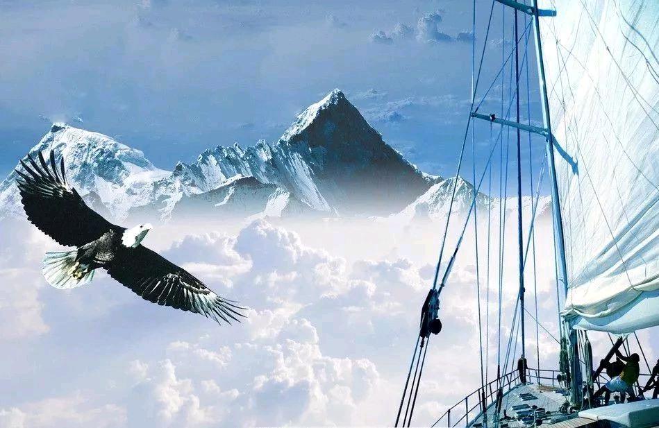 逃出亚卡拉越狱成功后续,越狱电影鼻祖逃出亚卡拉