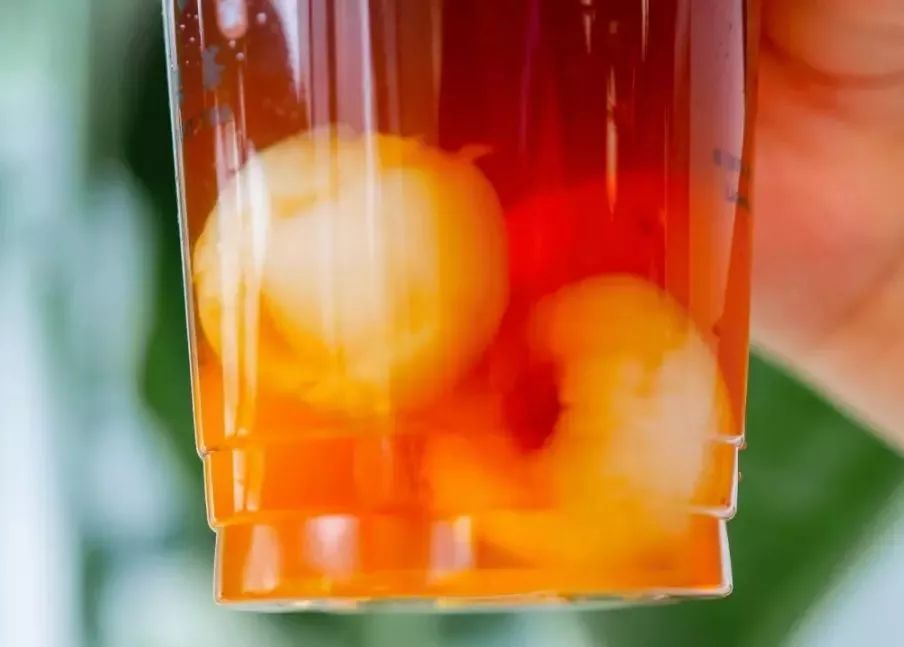 周杰伦小公举曝光,周杰伦为什么是奶茶小公举