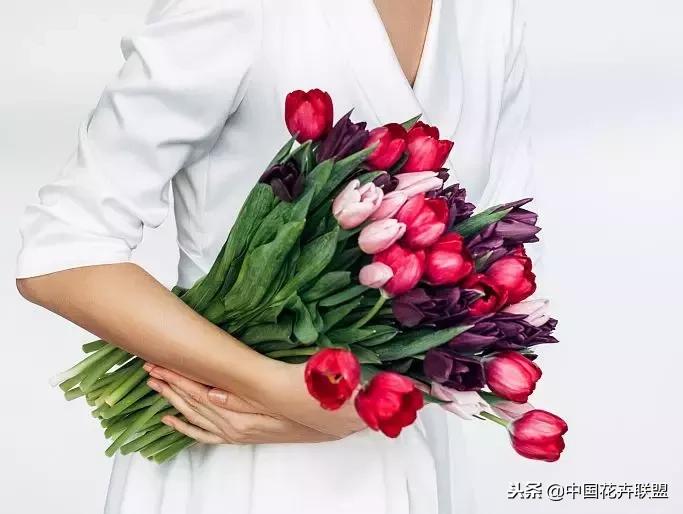 100种鲜花的花语樱花,100种不同花的花语