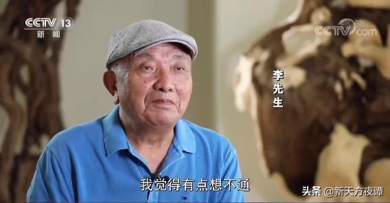 注意！不仅修剪自己种的树会被罚，这些不起眼的行为也会违法