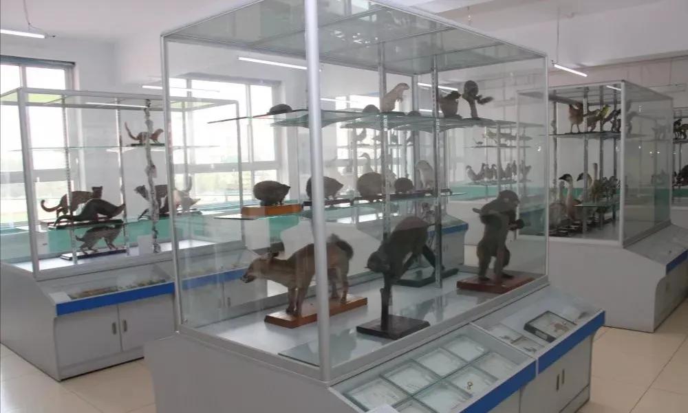 天津第三十二中学和102中学,天津市第二高级中学