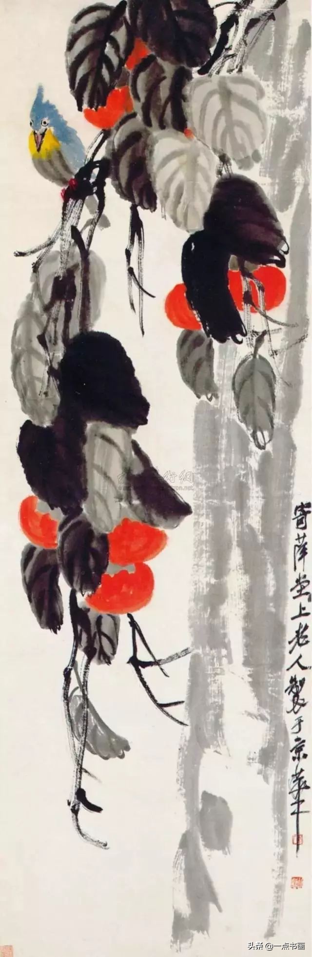 柿子公鸡写意画法,徐湛写意柿子的画法