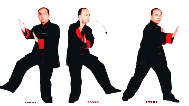 咏春拳入门十二散手,咏春拳标指教学视频