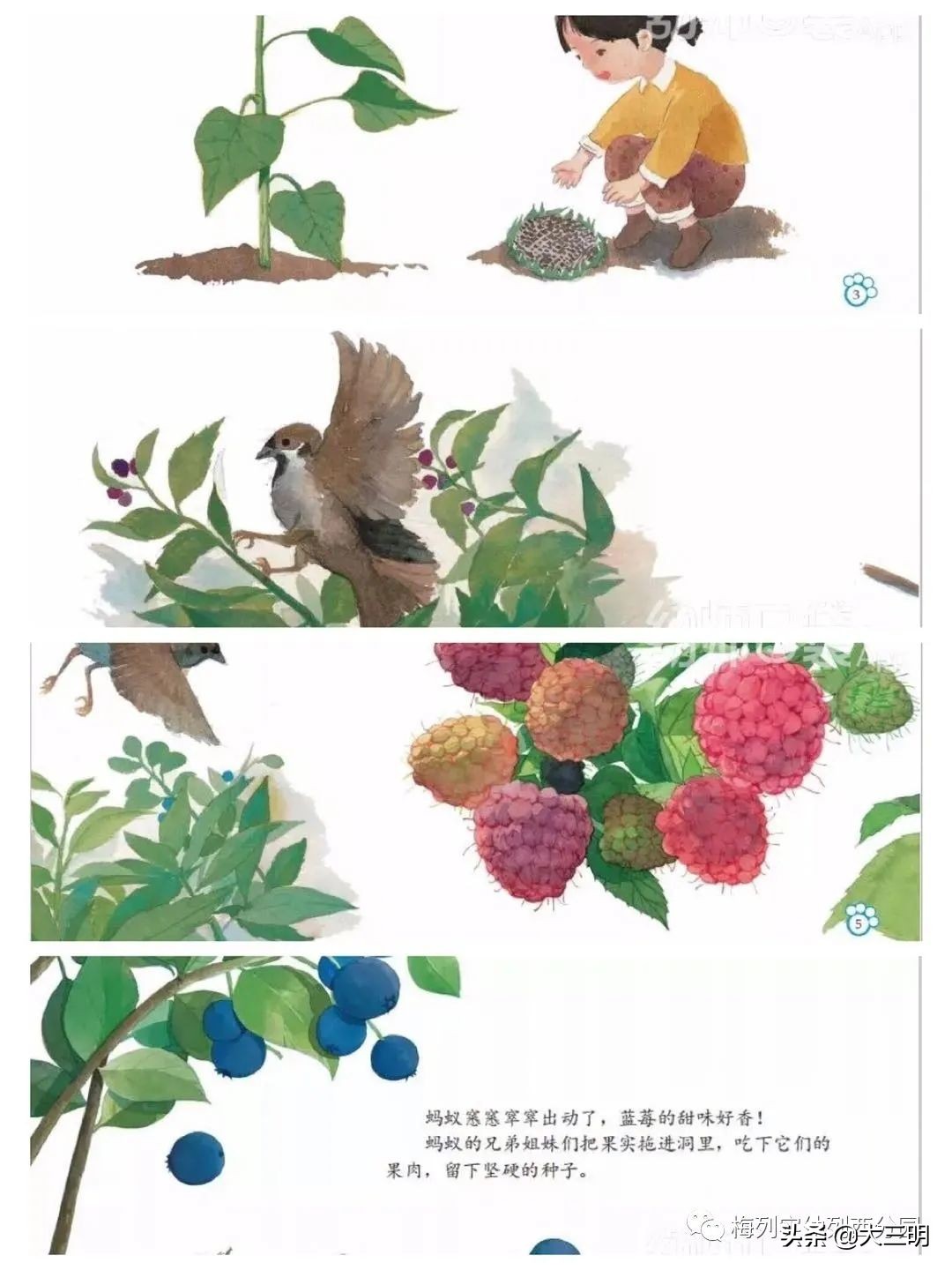 「家园齐心共战疫情」梅列实幼列西分园亲子“爱•悦课堂”中班(第四期)