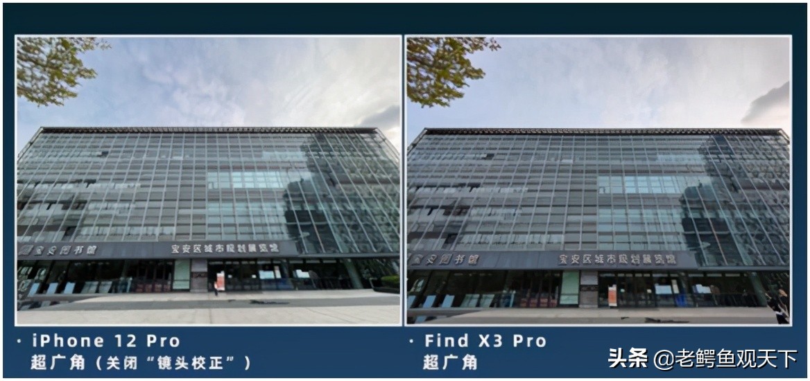 李永乐我为什么要当老师,李永乐老师是个什么样的人